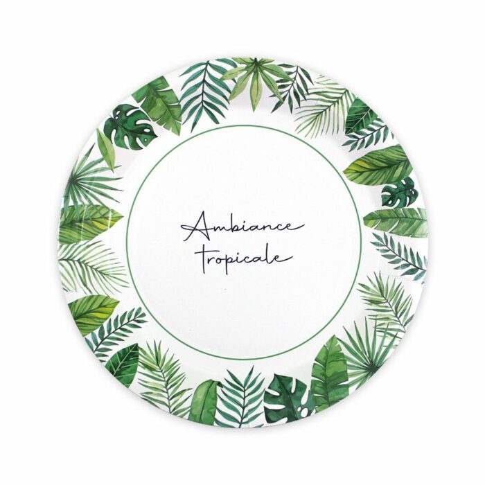 PACK 6 ASSIETTES EXOTIQUE PARTY – Image 2